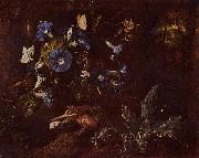 SCHRIECK, Otto Marseus van Blaue Winde, Krote und Insekten oil on canvas